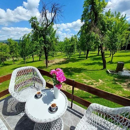 Vikendica Gaj Villa Gornji Milanovac Bagian luar foto