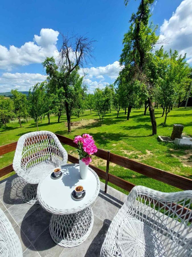 Vikendica Gaj Villa Gornji Milanovac Bagian luar foto