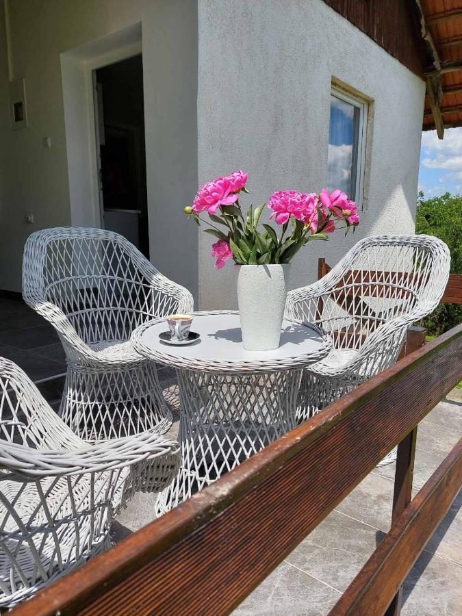 Vikendica Gaj Villa Gornji Milanovac Bagian luar foto