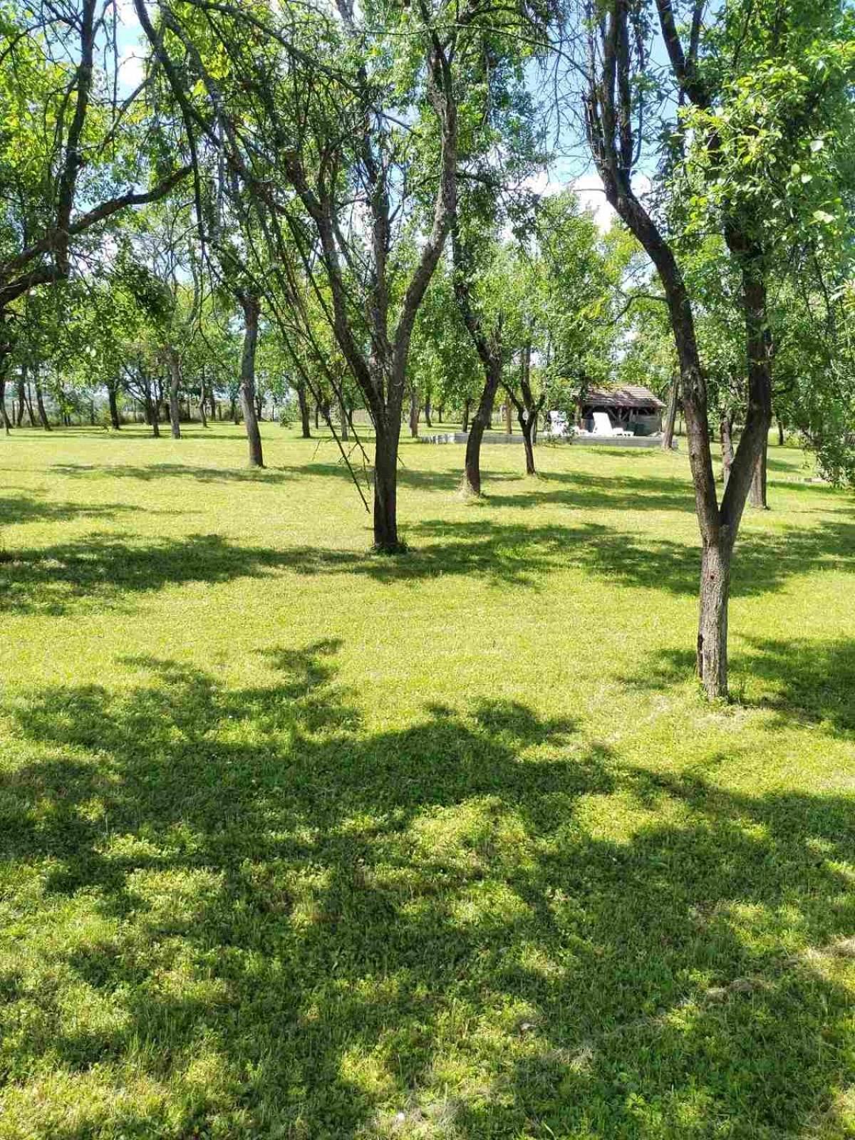 Vikendica Gaj Villa Gornji Milanovac Bagian luar foto